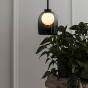 Pendant Light Glass Smoked - TYRIAN | Sophistication