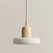 Pendant Light Scandinavian Metal - TEKRON | Elegant