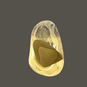 Wall Light Gold Glass - LUNARA | Elegant Lighting
