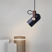 Pendant Light Black Gold - OPTIVA | Elegant Focal Point