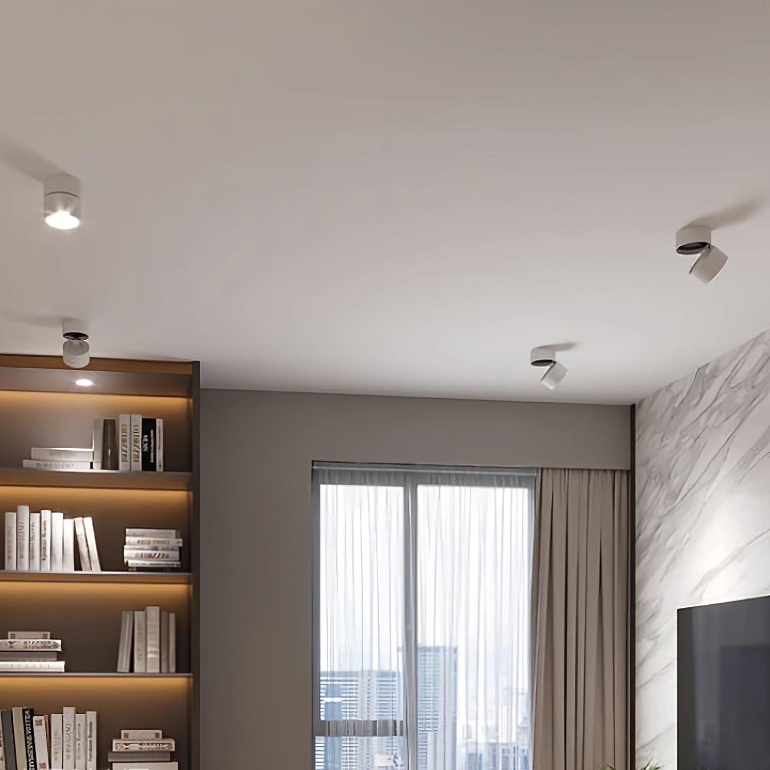 Favilla_Surface_Ceiling_Lamp_22_9906a22b-3a52-4e1b-81cd-9d572bc6d7a3.jpg