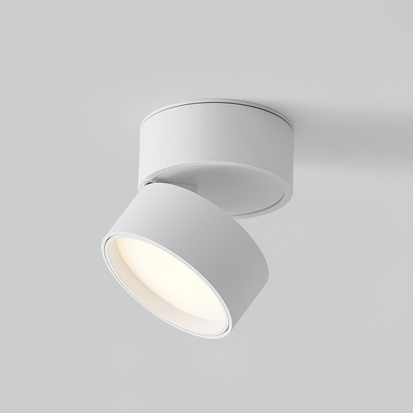 Ceiling Light Adjustable Aluminium - CALYPS | Warm Light