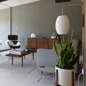 Wall Light Walnut Modern - ARGOXA | Sophisticated Ambiance