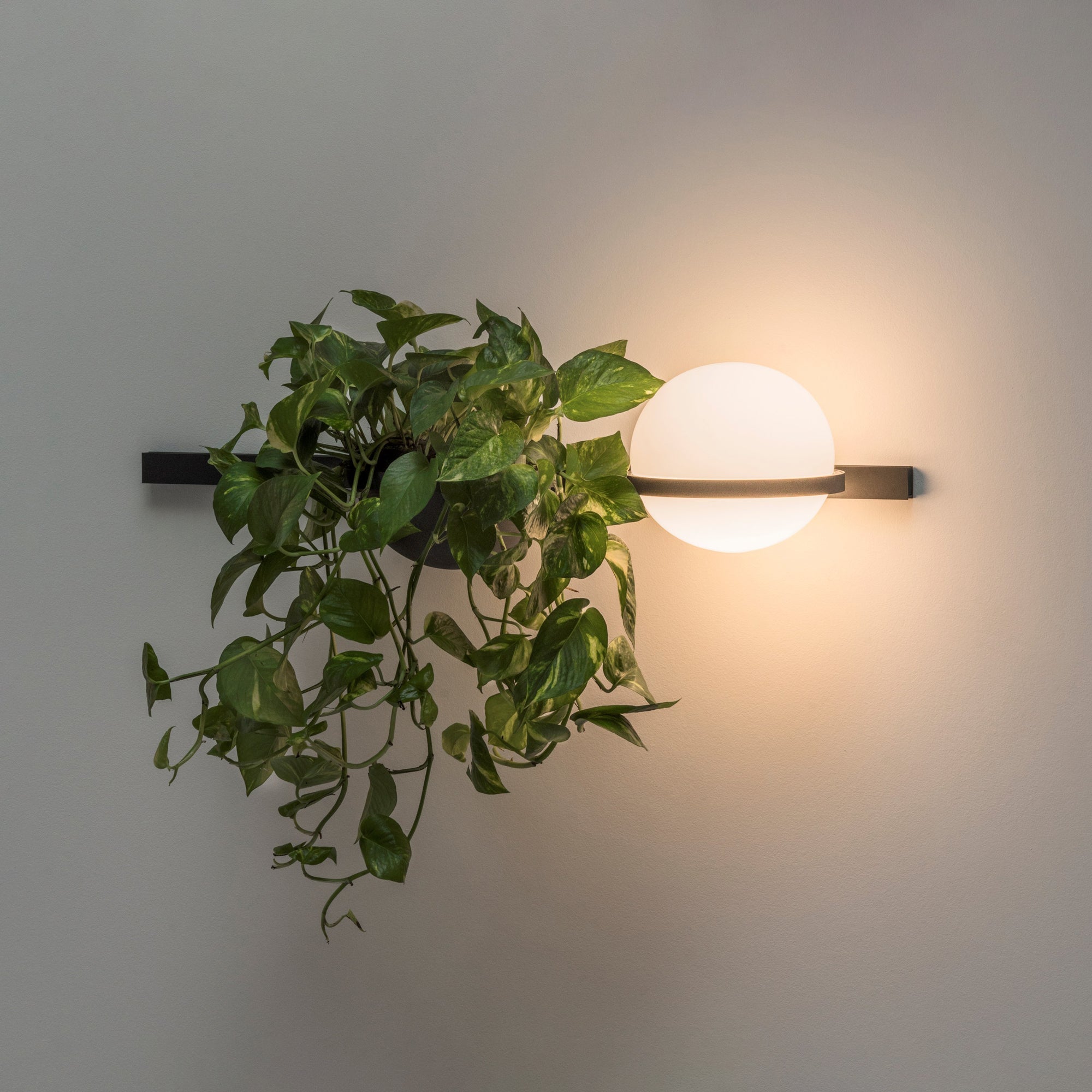 Outdoor Lighting LED, IP65 - MIRACH | Modern Aesthetics