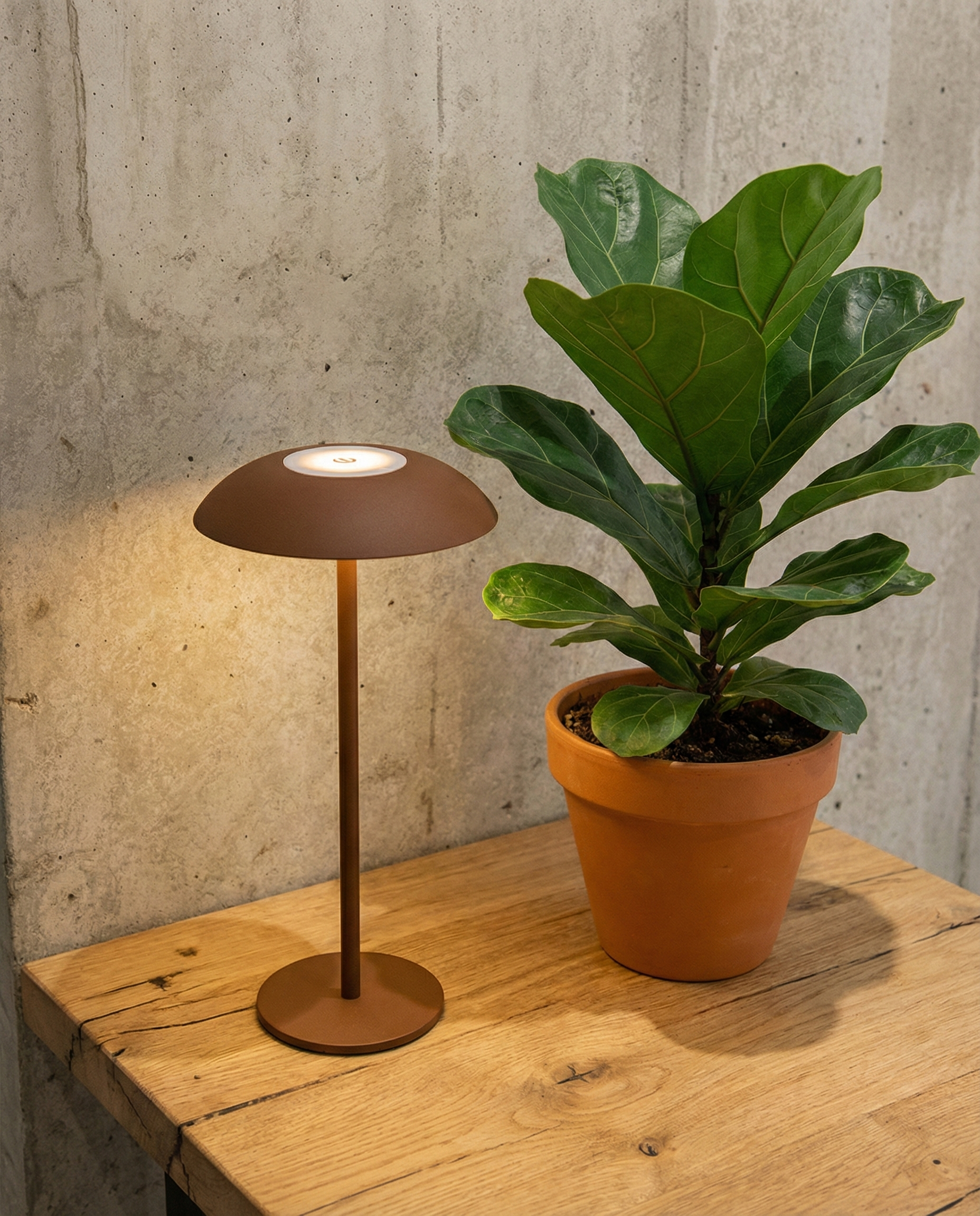 OSLO cordless designer table lamp styled in a minimalist Australian interior — DecoHarmonie